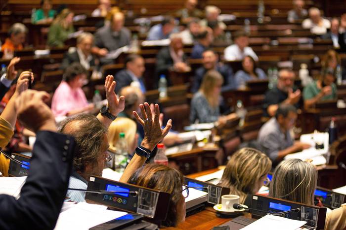 Votación del proyecto de reforma jubilatoria, el 25 de abril, en la Cámara de Diputados. · Foto: Mara Quintero